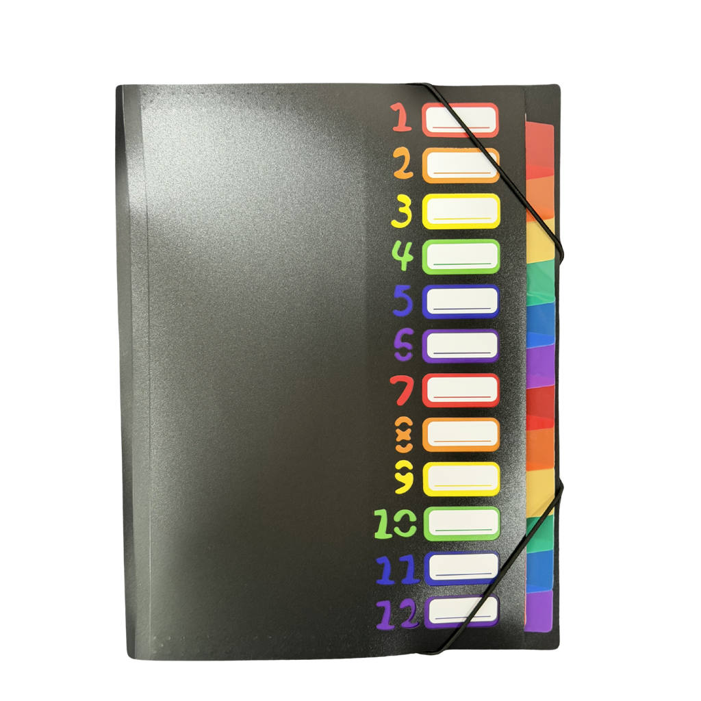 Multimate Accordion Style A4 Folder, 12 Rainbow Gradient Pockets