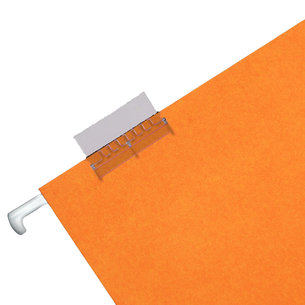 Amest Suspension File Holders and Strips, Set of 50, Orange and Green