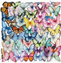 Multimate Butterfly Clear Stickers, 4.9 cm in Size, Assorted Shapes and Colours
