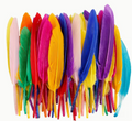 Multimate Multicoloured Feathers, Pack of 50, Assorted Colours